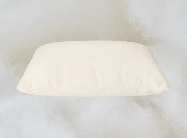 Birch Organic Pillow Review 650