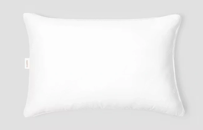 Saatva Down Chamber Pillow Review 650 2nd
