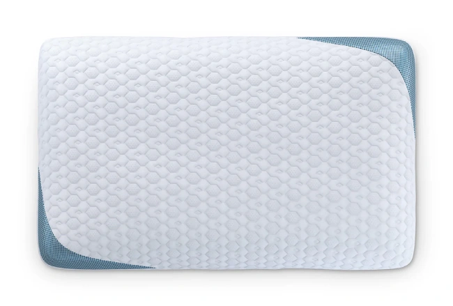 Bear Pillow Review 650